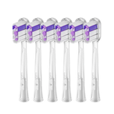 Laifen Wave Zahnbürstenköpfe 6er-Pack